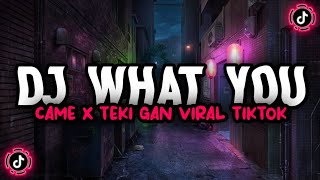 Download lagu DJ WHAT YOU CAME X TEKI GAN PARGOY SANTUY || INI KALIAN CARI CARI!!! mp3