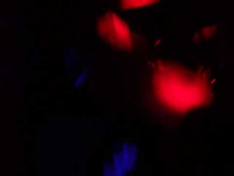 Nova DemeNciAl...el viento que todo empuja.cover la renga.mp4 video thumbnail