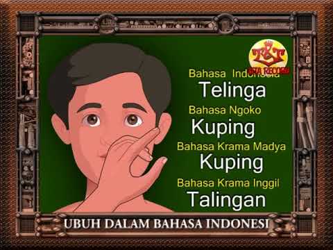 download lagu mp3 mp4 Anak Bahasa Jawa, download lagu Anak Bahasa Jawa gratis, unduh video klip Download Anak Bahasa Jawa Mp3 dan Mp4 Unlimited Gratis