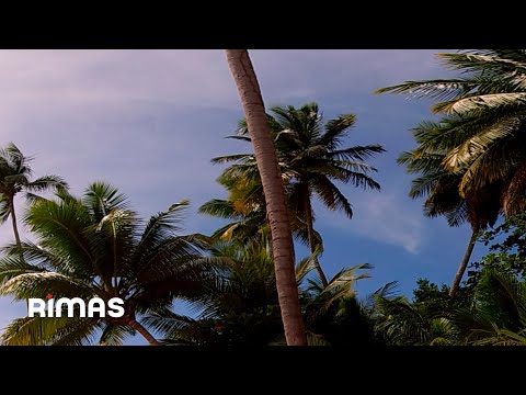 Bad Bunny - Tití Me Preguntó (360° Visualizer) | Un Verano Sin Ti