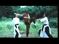 Snake Fist Killers Track Down Monkey Fist Master For Revenge Snake In The Monkey S Shadow 1979