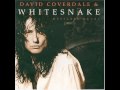 ALL IN THE NAME OF LOVE - Whitesnake