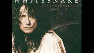 whitesnake all in the name of love