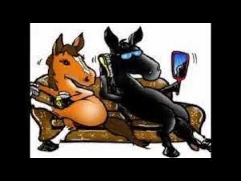 Turbo 6 - Moj očka ma konjička dva