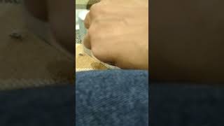 0 02 04 8cbf2b1c2cbc5c91de34bc8525ca589f349b33b969cefb17284ca21fd0f161ab full