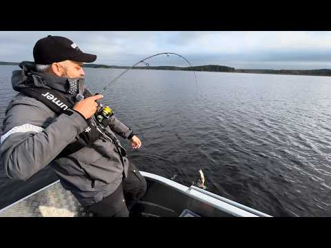 Pannukarkeaa SYYSAHVENTA järveltä - VINKIT jigikalastajalle - Missä ja Miten - Ahvenen kalastus