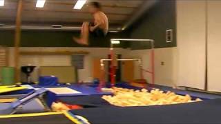 preview picture of video 'GYM TRAINING Sampler 2008 - 2009'