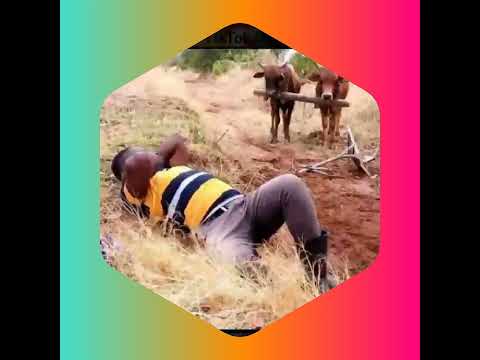 Clement magwaza 4 ebenezar