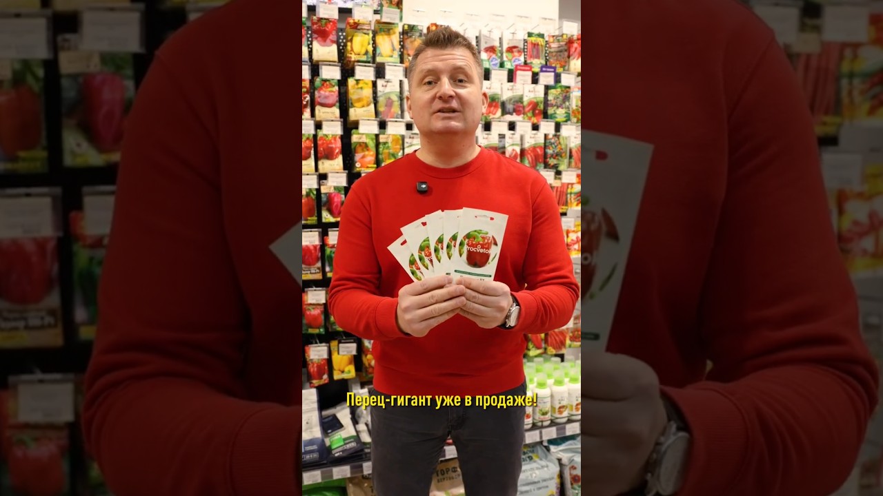 Перец с гигантскими плодами! Урожай больше 3 кг с куста