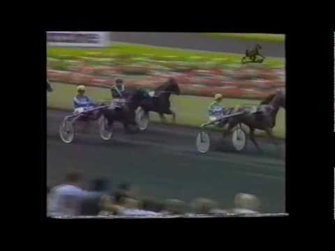 Criterium Continental Ideal 1:15,1