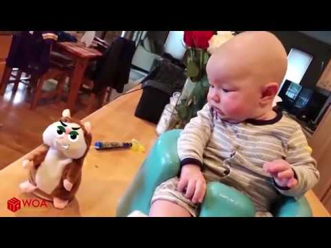 Funny Naughty Babies Trouble Maker