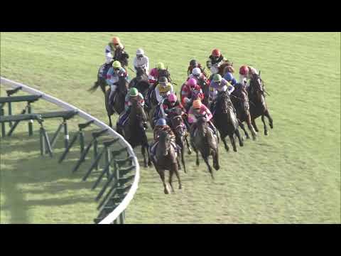 2019 Sprinters Stakes (G1)