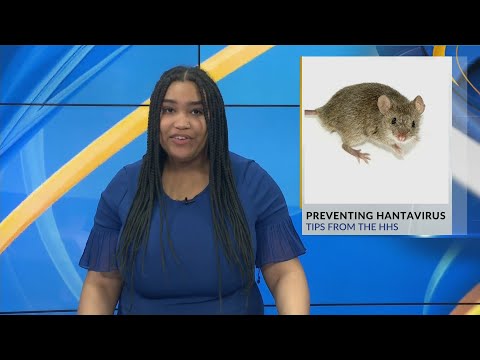 Preventing Hantavirus