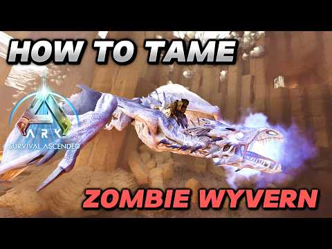 Taming Zombie Wyvern