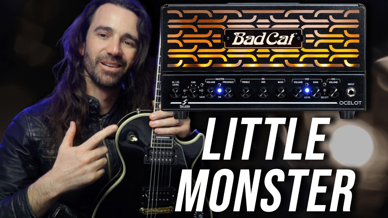 Bad Cat Ocelot 20w Lunchbox Amp Head