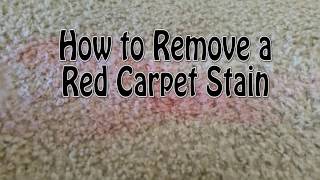 How to Remove a Red Carpet Stain (red wine, kool-aid, punch,)