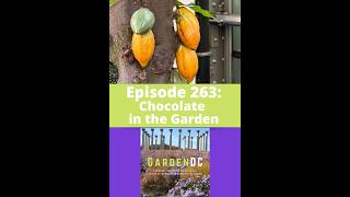 Growing a Chocolate Garden