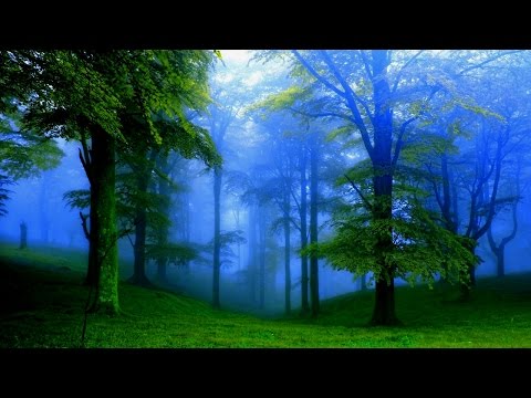 Tadeusz Nalepa - Uroda to mgła