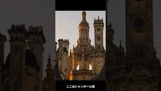 欧州在住日本人が無双する❕パリ以外のフランスいろいろ #trip #travel #フランス #リヨン #マルセイユ #アルザス #プロヴァンス #パリ #ロワール #travelphotos