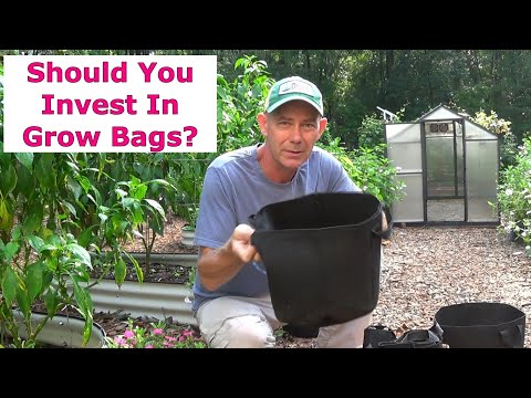 Grow Bags (Are they worth the investment?)