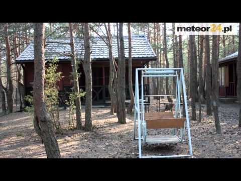 Domki Letniskowe Sopot - Majdan Sopocki Pierwszy meteor24.pl