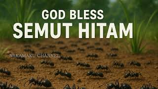Download lagu Godbless - Semut hitam (musik lirik) mp3 Download lagu Godbless - Semut hitam (musik lirik) mp3