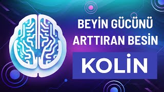 Beyin Gücünü Artıran Besin: Kolin!
