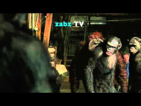 Jamaican planet of the apes Batty Face ZABZ TV