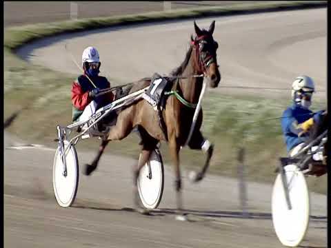 Trotto 24/12/2019 - 3ª corsa