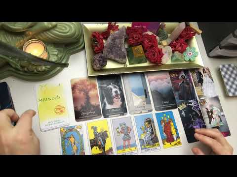 Schmetterlinge im Bauch 🦋 Die schönsten Motten der Welt 😬✨ #Tagesenergie #Botschaft