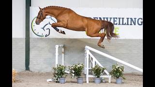 Jumping & movement