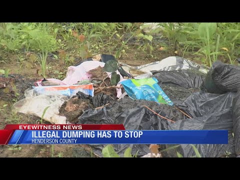 Henderson Busted Newspaper