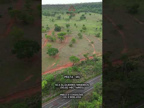 Fazenda à venda no Prata com 10,5 alqueires mineiros - Triangulo Mineiro - Minas Gerais