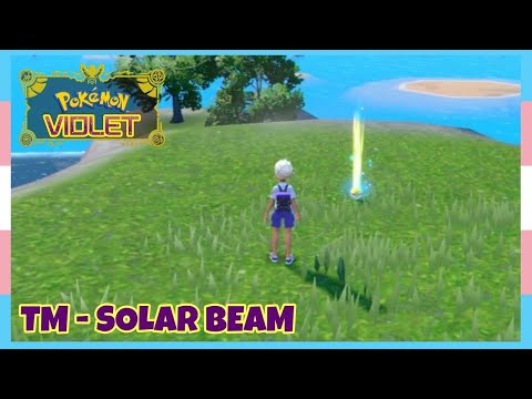 Where To Find TM Solar Beam In Pokemon Scarlet & Violet | Location Quick Guide