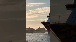 Norwegian Encore 🛳️ #like #share #comment #subscribe #cruiseship #cruise #vacation #shorts #short