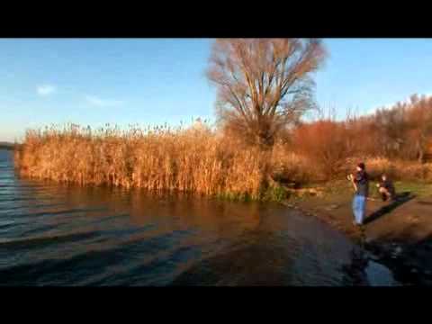 Hideg vízi pontyhorgászat feederrel 5 rész – Palotás télen 00