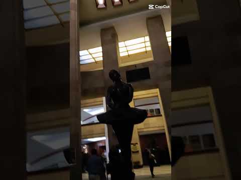 Concierto de Año nuevo | SLP | Teatro la Paz | #Orquesta Sinfónica de SLP #músicaclásica