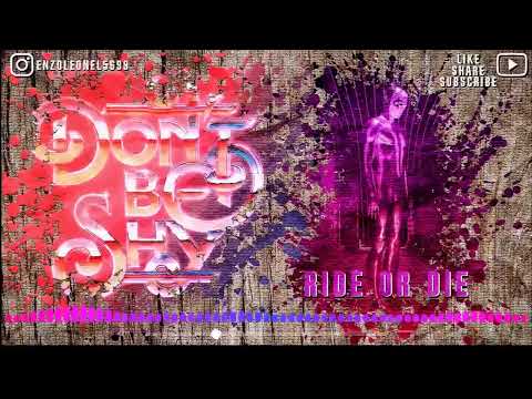 Tiësto Ft. KAROL G vs SMACK & 22Bullets Ft. Lovespeake - Don´t Be Shy vs Ride Or Die - Mashup