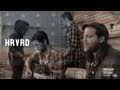 HRVRD "Black Creme" [American Acoustic ...