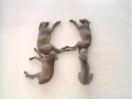 Sesame Street Wegman S Dogs H