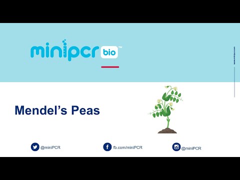 Mendel's Peas Webinar