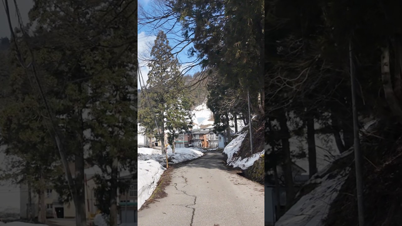 Escápate al Japón más profundo... 🇯🇵