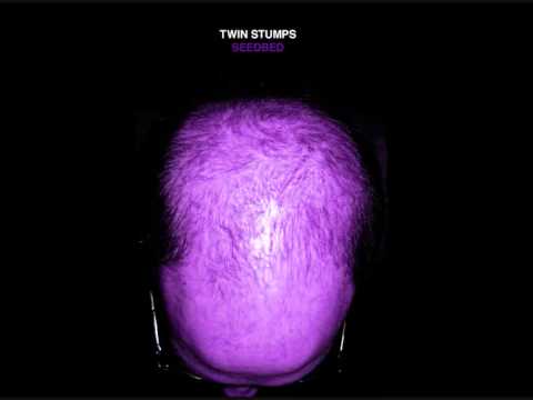 Twin Stumps - Pope's Nose