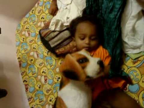 Lohit Playing with Dog