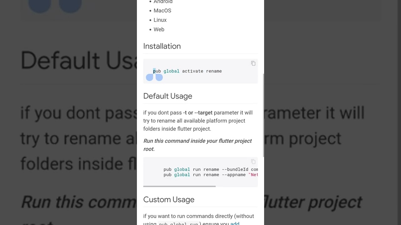Best package for rename flutter Apps