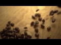 Francis Brandon Sizzle Reel