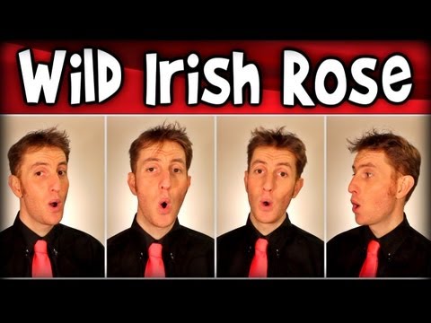 My Wild Irish Rose (Barbershop Polecat) - Julien Neel