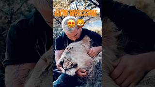 Would you greet Lions like this?🦁