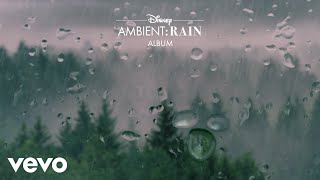 Disney Ambient, andysocialclub - You've Got a Friend in Me (From "Disney Ambient: Rain"/Audio Only)