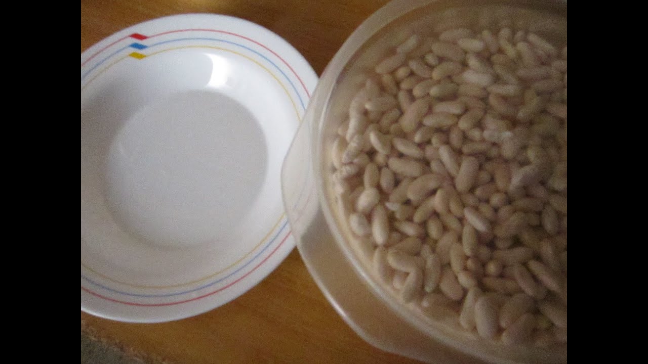 Watch COMO CALCULAR LAS LEGUMBRES POR PERSONA PARA COCINAR ALUBIAS O FRÉJOLES Now COMO CALCULAR LAS LEGUMBRES POR PERSONA PARA COCINAR ALUBIAS O FRÉJOLES